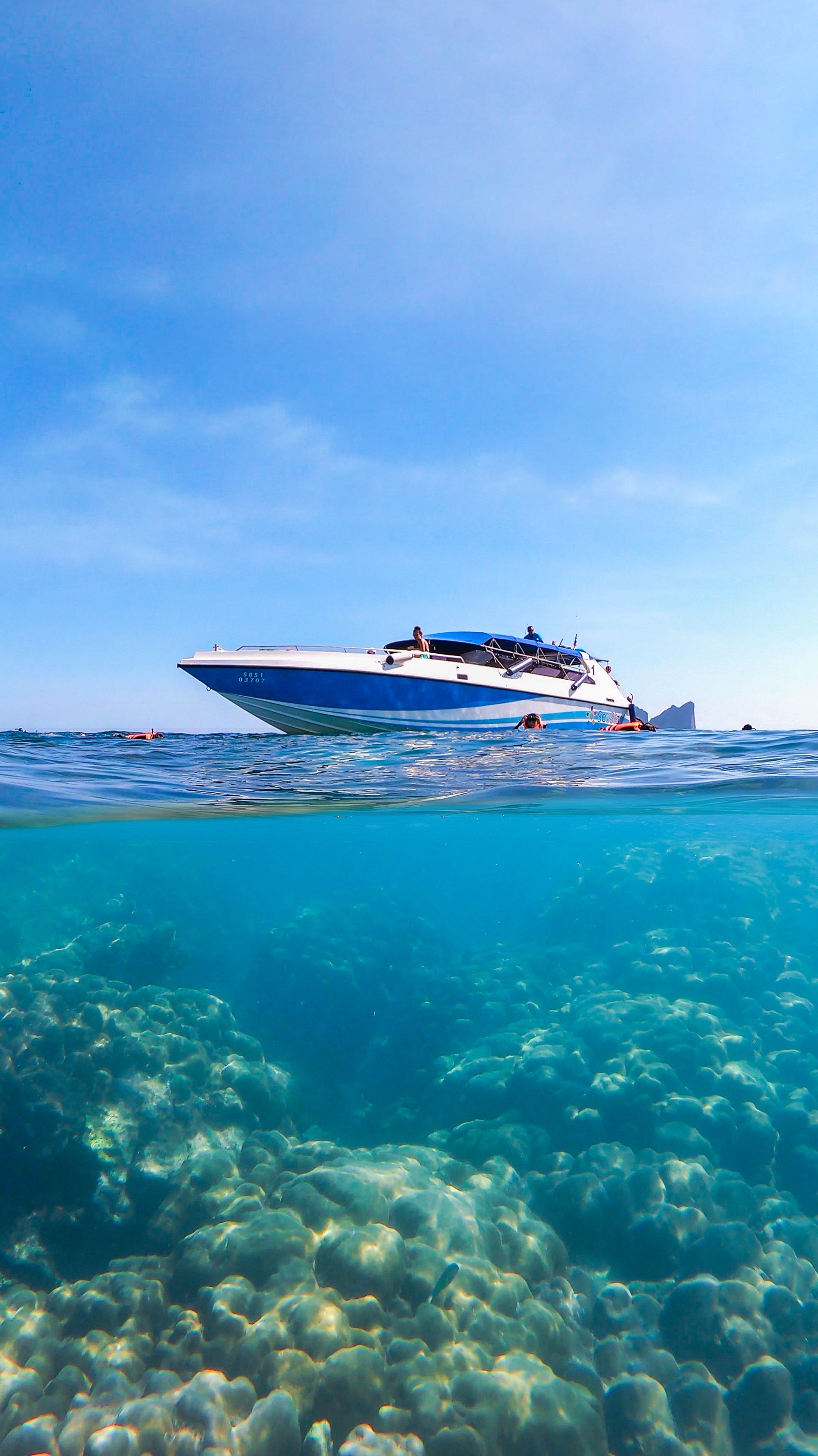 Speedboat Over Coral Reefs at Koh Phi Phi Island